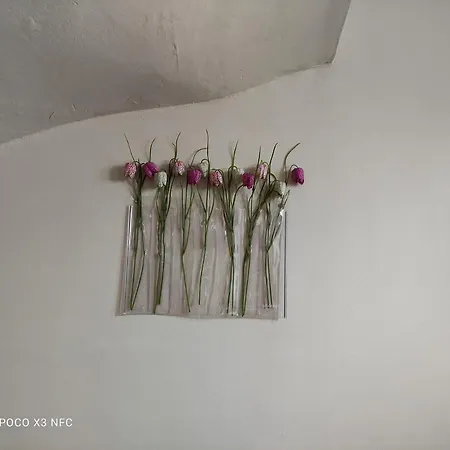 Nyaraló Filippos *